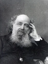 James Joseph Sylvester, gravé par George J. Stodart